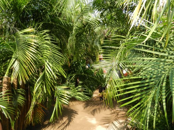 28 - Dichte Palmenwege.jpg